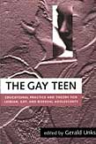 The Gay Teen