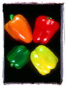 4 peppers on black background Ecard