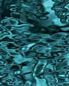 2 blue h2o Ecard