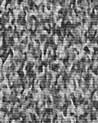 Black & White Ccamouflage Ecard