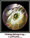 Framed Flower Free Art Ecard