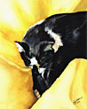 Sleepy Cat Free Art Ecard