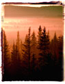 Misty mountains at sunrise Ecard