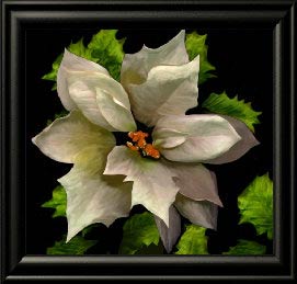 Poinsettia and Holly free art Ecard