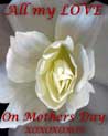 All my love on Mother's Day Free Ecard