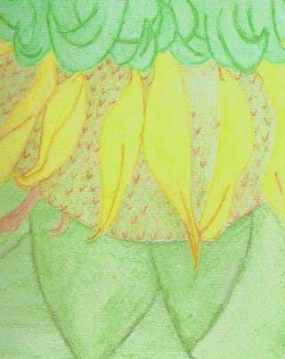 Sunflower free art ecards
