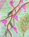 Nature Art Ecards Ecards