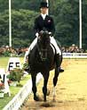 Dressage Horse and Rider Ecard