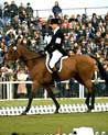 Dressage Horse and Rider Ecard