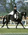 Dressage Horse and Rider Ecard