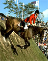 Jumping horse at Devon Ecard