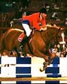 Stadium Jumper Ecard Chestnut