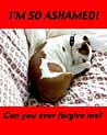 I'm Ashamed Ecard