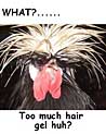 Hair Gel Ecard Free