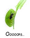 Venus Flytrap Ecard