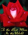 To the best mom in the world! Free Ecard for Lesbian, Bi, Straigtht Moms