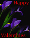 Happy Valentines Irises Valentine Ecard