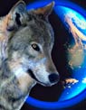 Wolf and the world Ecard