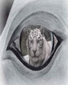 White Tiger Eye free Art Ecard